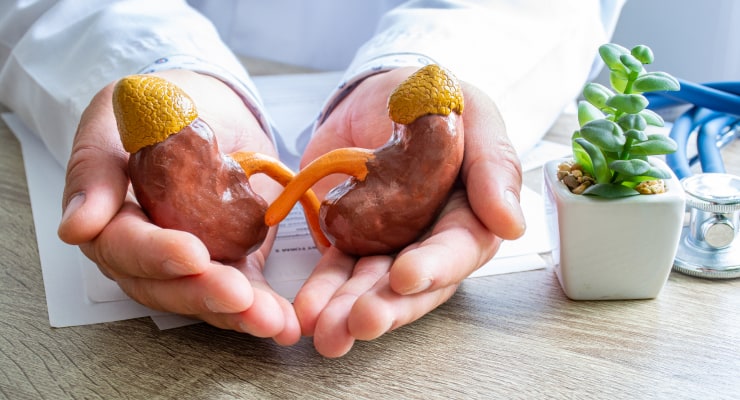 XORTX Therapeutics Inc. (NASDAQ: XRTX)